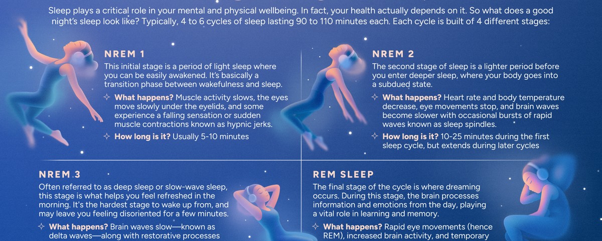 REM vs Deep Sleep: What Actually Matters for Recovery
